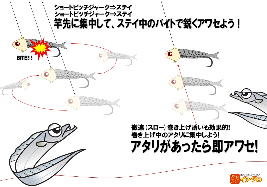 タチウオテンヤ | 釣具のイシグロ | 釣り情報サイト